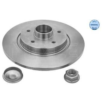 Jeu de 2 disques de frein arrière MEYLE OEM 8200381148