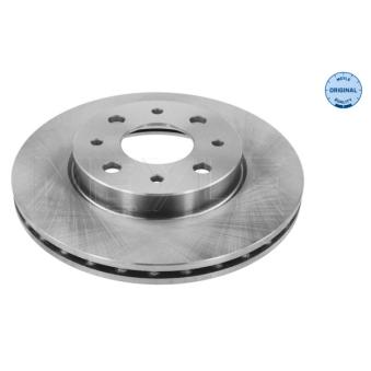 Jeu de 2 disques de frein avant MEYLE OEM 1541803