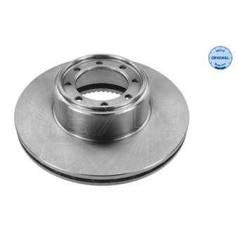 Jeu de 2 disques de frein arrière MEYLE OEM 2996043