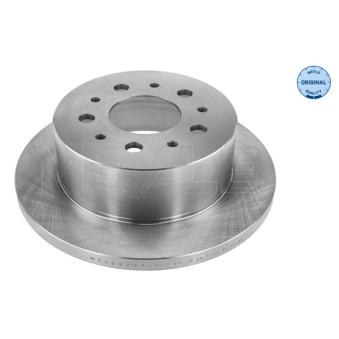 Jeu de 2 disques de frein arrière MEYLE OEM 51740245