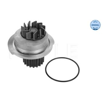 Pompe à eau MEYLE OEM 96182871