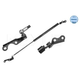 Vérin de hayon, de coffre MEYLE OEM 6896005925