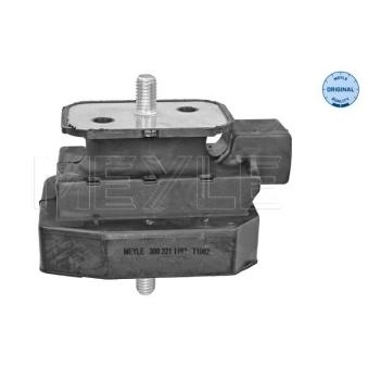 Suspension, boîte automatique MEYLE [300 221 1162]