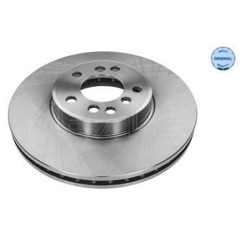 Jeu de 2 disques de frein avant MEYLE OEM 6765457