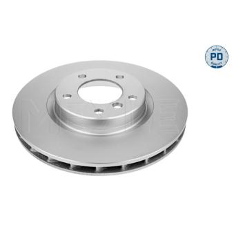 Jeu de 2 disques de frein arrière MEYLE OEM 34112227171