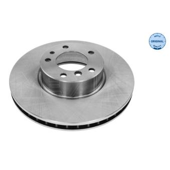 Jeu de 2 disques de frein arrière MEYLE OEM 1159602