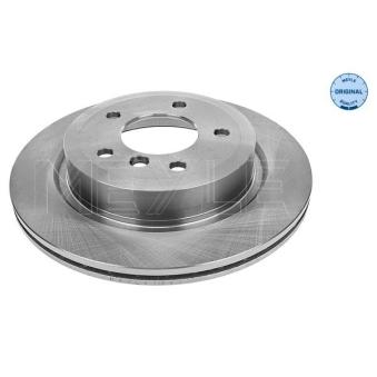 Jeu de 2 disques de frein arrière MEYLE [315 523 0036]
