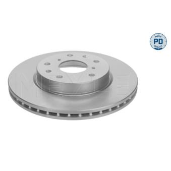 Jeu de 2 disques de frein arrière MEYLE OEM 5531179J02