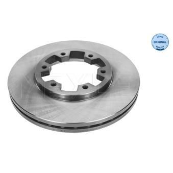 Jeu de 2 disques de frein arrière MEYLE OEM 4020631G01