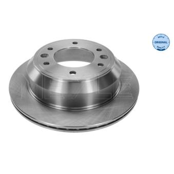 Jeu de 2 disques de frein arrière MEYLE OEM 584114H300