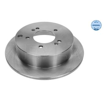 Jeu de 2 disques de frein arrière MEYLE OEM 584113A300