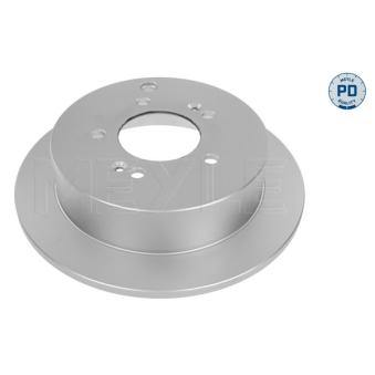 Jeu de 2 disques de frein arrière MEYLE OEM 584113A300