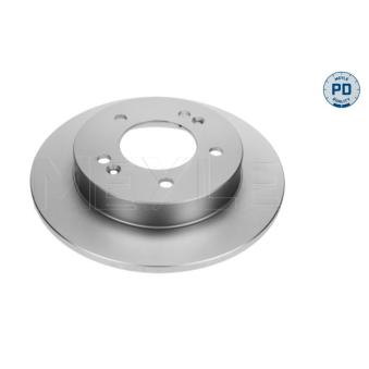 Jeu de 2 disques de frein arrière MEYLE OEM 584111P300
