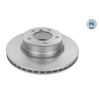 Jeu de 2 disques de frein arrière MEYLE OEM 34116864059