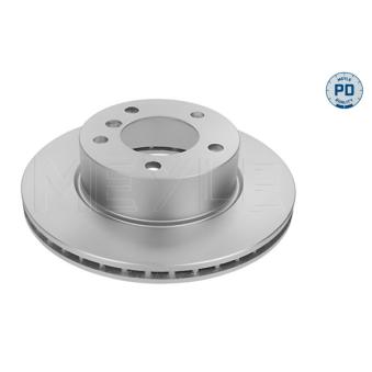 Jeu de 2 disques de frein arrière MEYLE OEM 6764629