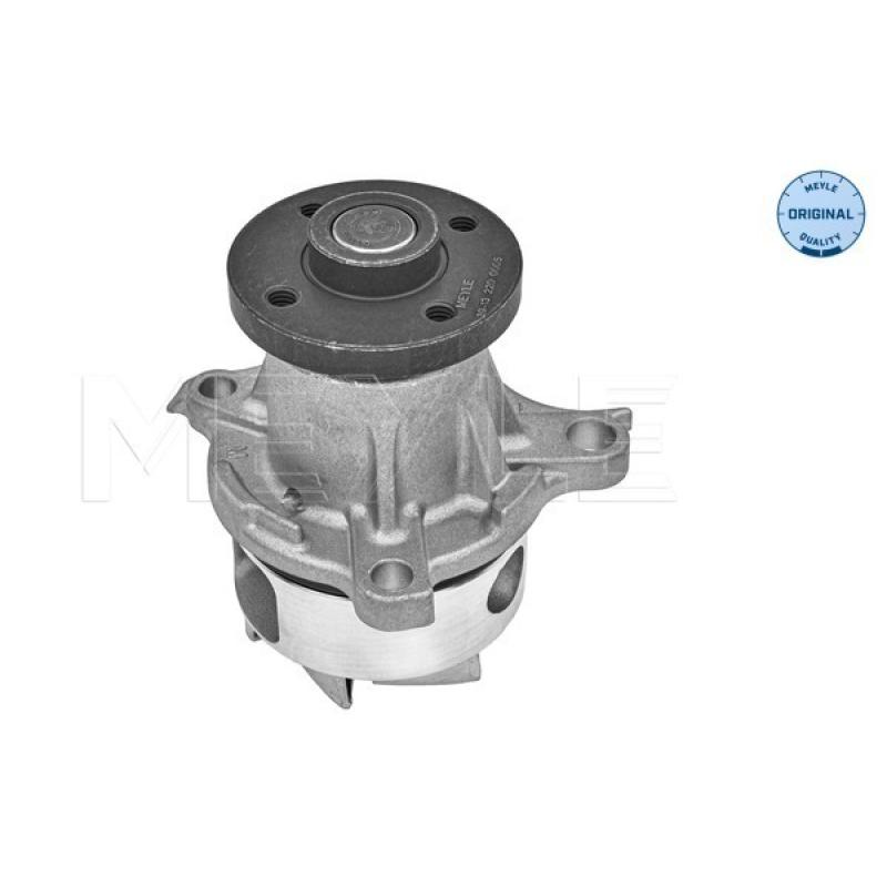 Pompe à eau, refroidissement du moteur MEYLE 39-13 220 0005 - Visuel 1