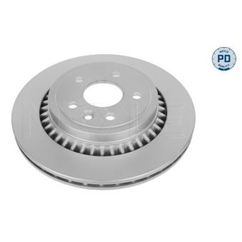 Jeu de 2 disques de frein arrière MEYLE OEM 31471033