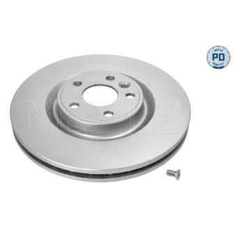 Jeu de 2 disques de frein avant MEYLE OEM LR090684