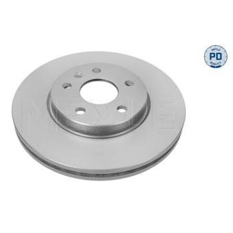 Jeu de 2 disques de frein avant MEYLE OEM 13502044