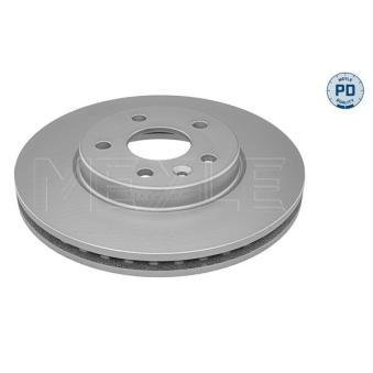 Jeu de 2 disques de frein avant MEYLE OEM 13515906