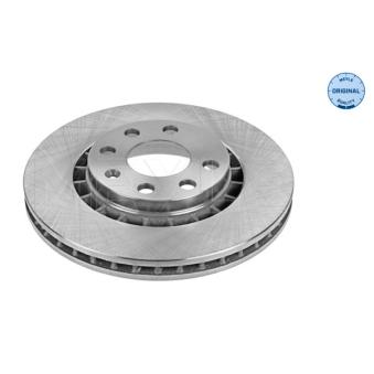 Jeu de 2 disques de frein avant MEYLE OEM 90487402