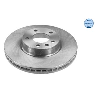 Jeu de 2 disques de frein avant MEYLE OEM 90393496