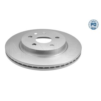 Jeu de 2 disques de frein arrière MEYLE OEM 13501314