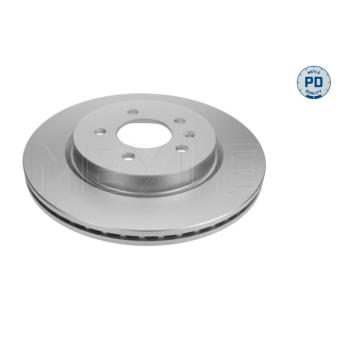 Jeu de 2 disques de frein arrière MEYLE OEM 569090