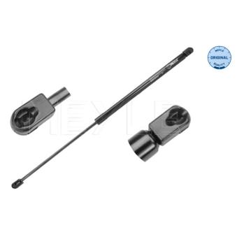Vérin de hayon, de coffre MEYLE 640 910 0003 pour FORD FOCUS 1.0 - 65cv