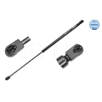 Vérin de hayon, de coffre MEYLE 640 910 0004 pour FORD FOCUS 1.0 - 65cv