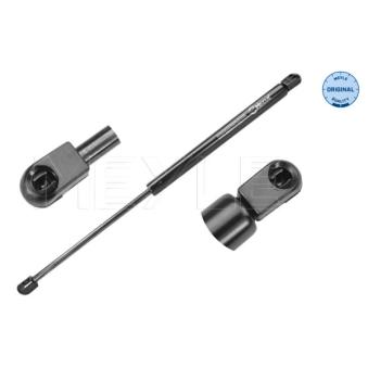 Vérin de hayon, de coffre MEYLE 640 910 0015 pour CHRYSLER PACIFICA 1.7 CDTI - 110cv