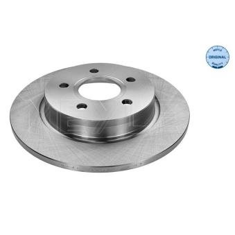 Jeu de 2 disques de frein arrière MEYLE OEM 1704765