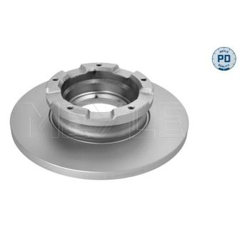 Jeu de 2 disques de frein arrière MEYLE OEM 1783910