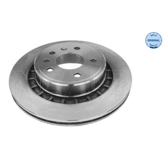 Jeu de 2 disques de frein arrière MEYLE OEM 5232698