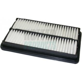 Filtre à air HOFFER OEM 17220PAAA00
