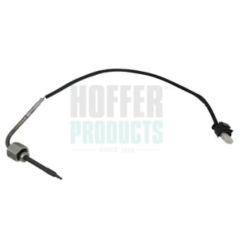 Capteur, température des gaz HOFFER OEM A0019052800