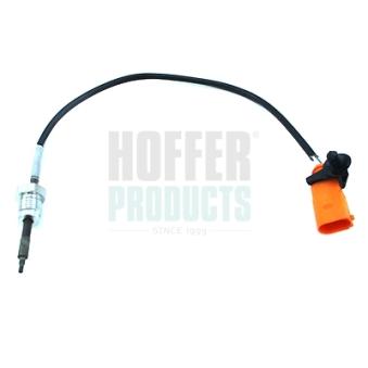 Capteur, température des gaz HOFFER OEM 076906088E
