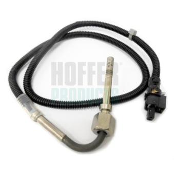 Capteur, température des gaz HOFFER OEM 0009058800
