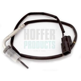 Capteur, température des gaz HOFFER OEM 93456233