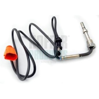 Capteur, température des gaz HOFFER OEM 03L906088G