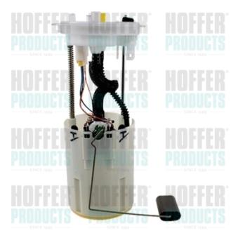 Unité d'injection de carburant HOFFER OEM 69500350