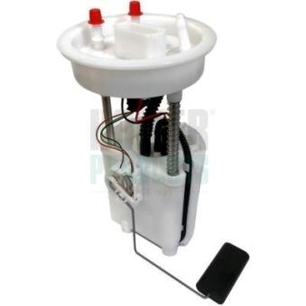 Unité d'injection de carburant HOFFER 7507145