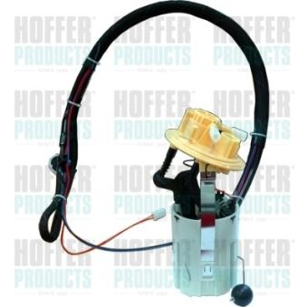 Unité d'injection de carburant HOFFER OEM 30671101 Unité d'injection de carburant HOFFER OEM 30671101