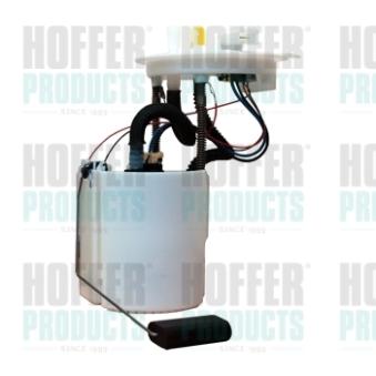 Unité d'injection de carburant HOFFER 7507307
