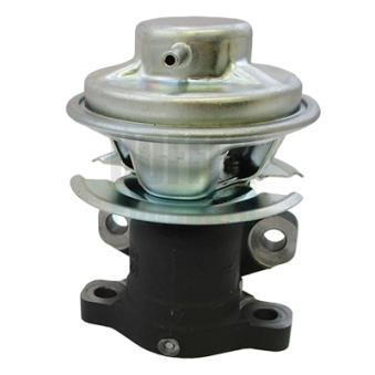 Vanne EGR HOFFER [7518348]