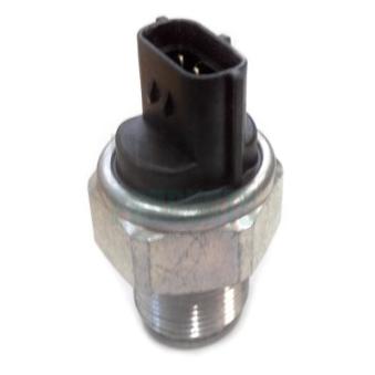 Capteur, pression de carburant HOFFER [8029398]