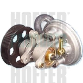 Pompe à vide, freinage HOFFER 8091081