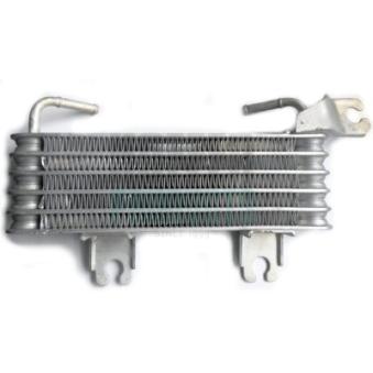 Radiateur d'huile HOFFER 8095064