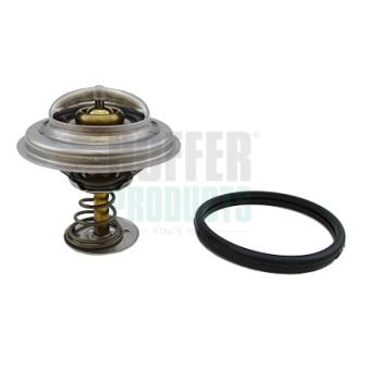 Thermostat, liquide de refroidissement HOFFER 8192094