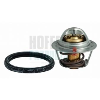 Thermostat, liquide de refroidissement HOFFER OEM 94580182